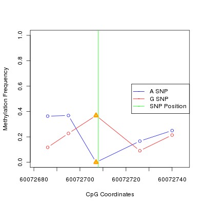 Allele Specific Methylation Frequency Diagram for chr20 60072708 SNP.