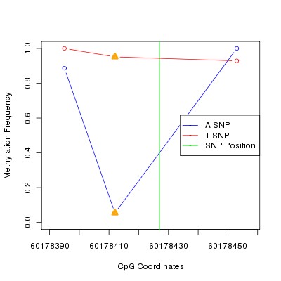 Allele Specific Methylation Frequency Diagram for chr20 60178427 SNP.