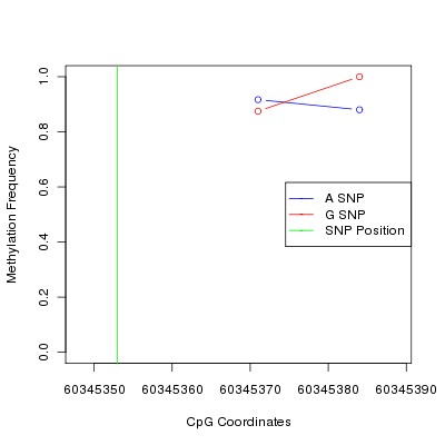 Allele Specific Methylation Frequency Diagram for chr20 60345353 SNP.