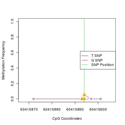 Allele Specific Methylation Frequency Diagram for chr20 60415894 SNP.