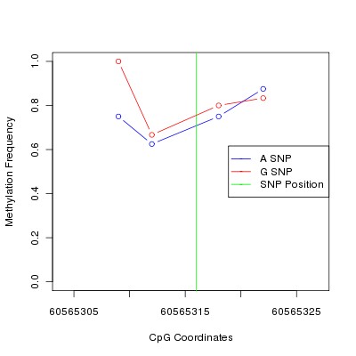 Allele Specific Methylation Frequency Diagram for chr20 60565316 SNP.