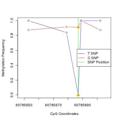 Allele Specific Methylation Frequency Diagram for chr20 60785687 SNP.