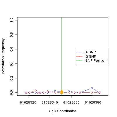 Allele Specific Methylation Frequency Diagram for chr20 61028351 SNP.