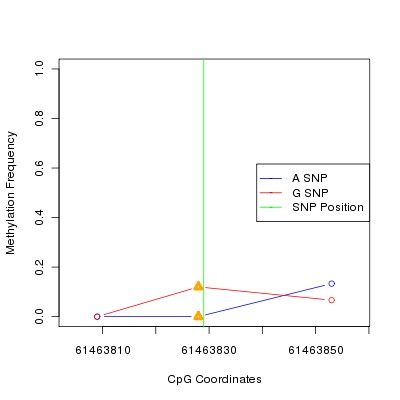 Allele Specific Methylation Frequency Diagram for chr20 61463829 SNP.