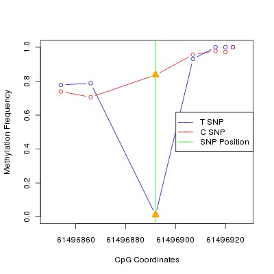 Allele Specific Methylation Frequency Diagram for chr20 61496892 SNP.