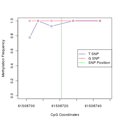 Allele Specific Methylation Frequency Diagram for chr20 61508721 SNP.