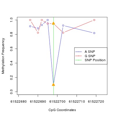 Allele Specific Methylation Frequency Diagram for chr20 61522698 SNP.