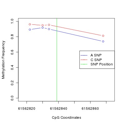 Allele Specific Methylation Frequency Diagram for chr20 61562839 SNP.