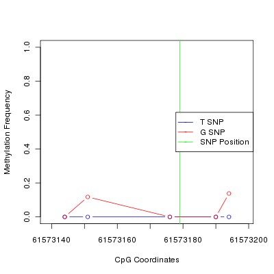 Allele Specific Methylation Frequency Diagram for chr20 61573179 SNP.