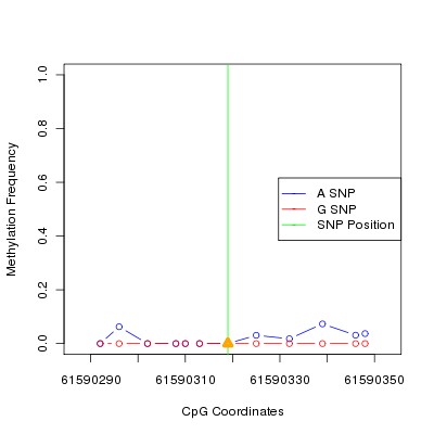 Allele Specific Methylation Frequency Diagram for chr20 61590319 SNP.