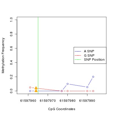 Allele Specific Methylation Frequency Diagram for chr20 61597965 SNP.