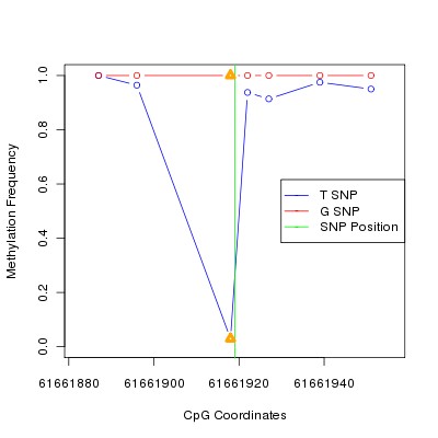 Allele Specific Methylation Frequency Diagram for chr20 61661919 SNP.