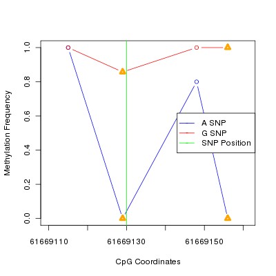 Allele Specific Methylation Frequency Diagram for chr20 61669130 SNP.
