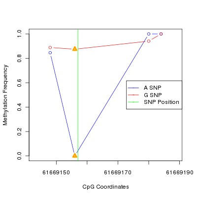 Allele Specific Methylation Frequency Diagram for chr20 61669157 SNP.