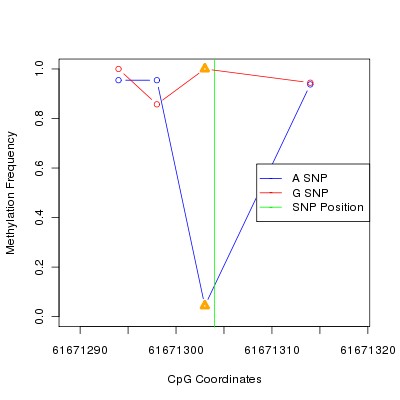 Allele Specific Methylation Frequency Diagram for chr20 61671304 SNP.