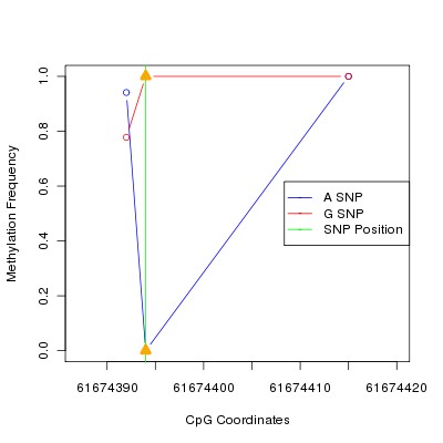 Allele Specific Methylation Frequency Diagram for chr20 61674394 SNP.