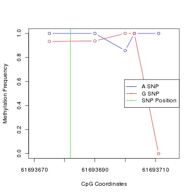 Allele Specific Methylation Frequency Diagram for chr20 61693682 SNP.