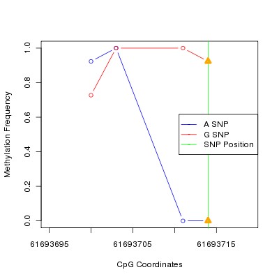 Allele Specific Methylation Frequency Diagram for chr20 61693714 SNP.