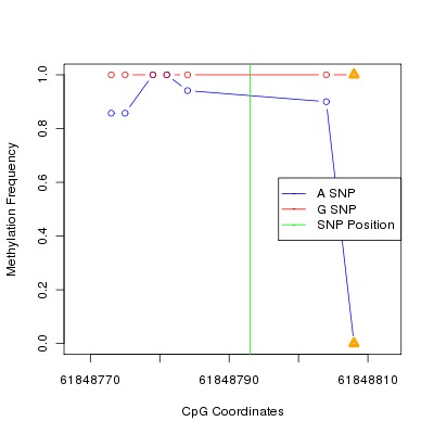 Allele Specific Methylation Frequency Diagram for chr20 61848793 SNP.