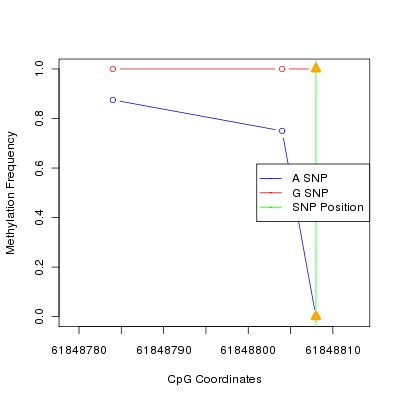 Allele Specific Methylation Frequency Diagram for chr20 61848808 SNP.
