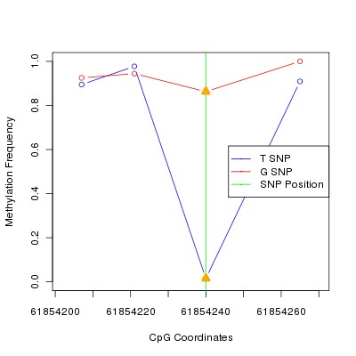 Allele Specific Methylation Frequency Diagram for chr20 61854240 SNP.