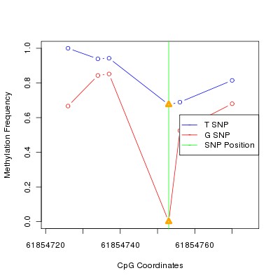 Allele Specific Methylation Frequency Diagram for chr20 61854753 SNP.