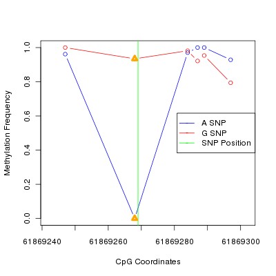 Allele Specific Methylation Frequency Diagram for chr20 61869269 SNP.