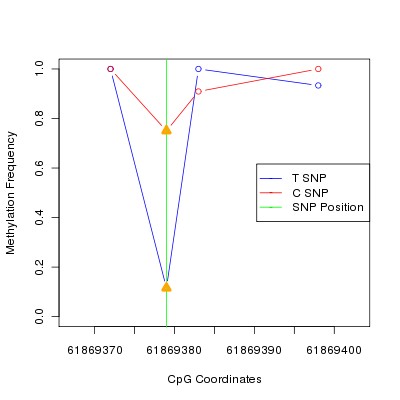 Allele Specific Methylation Frequency Diagram for chr20 61869379 SNP.