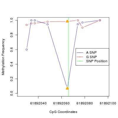 Allele Specific Methylation Frequency Diagram for chr20 61892066 SNP.