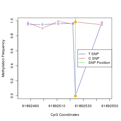 Allele Specific Methylation Frequency Diagram for chr20 61892524 SNP.