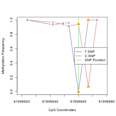 Allele Specific Methylation Frequency Diagram for chr20 61909660 SNP.