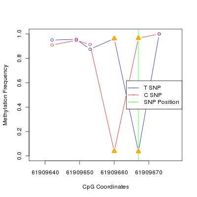Allele Specific Methylation Frequency Diagram for chr20 61909667 SNP.
