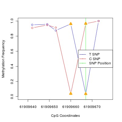 Allele Specific Methylation Frequency Diagram for chr20 61909667 SNP.