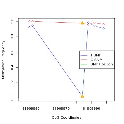 Allele Specific Methylation Frequency Diagram for chr20 61909985 SNP.