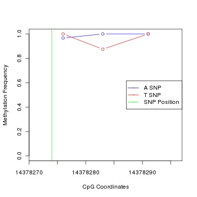 Allele Specific Methylation Frequency Diagram for chr21 14378274 SNP.