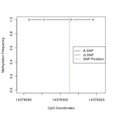Allele Specific Methylation Frequency Diagram for chr21 14378305 SNP.