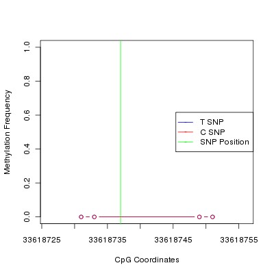 Allele Specific Methylation Frequency Diagram for chr21 33618737 SNP.