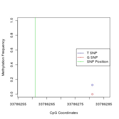 Allele Specific Methylation Frequency Diagram for chr21 33786261 SNP.