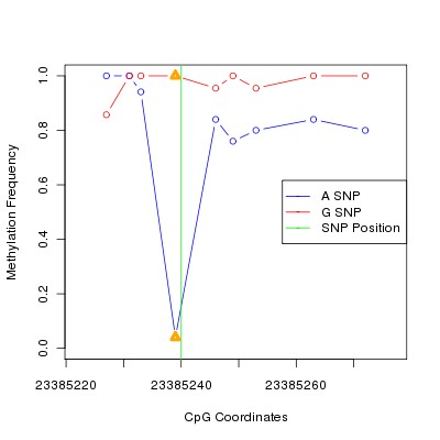 Allele Specific Methylation Frequency Diagram for chr22 23385240 SNP.