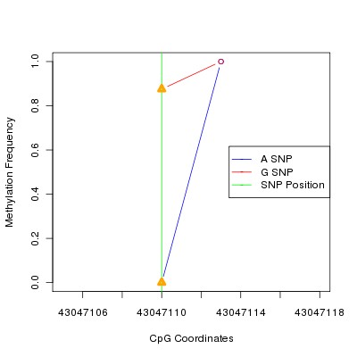 Allele Specific Methylation Frequency Diagram for chr22 43047110 SNP.