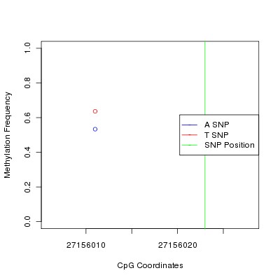 Allele Specific Methylation Frequency Diagram for chr7 27156023 SNP.