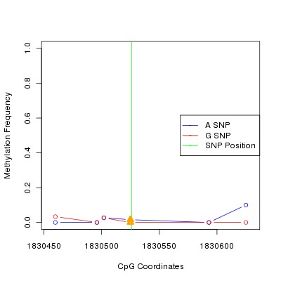 Allele Specific Methylation Frequency Diagram for chr11 1830526 SNP.