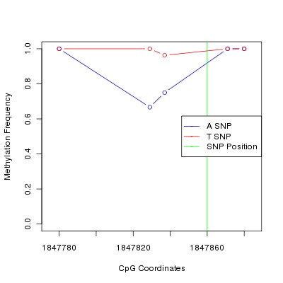 Allele Specific Methylation Frequency Diagram for chr11 1847860 SNP.