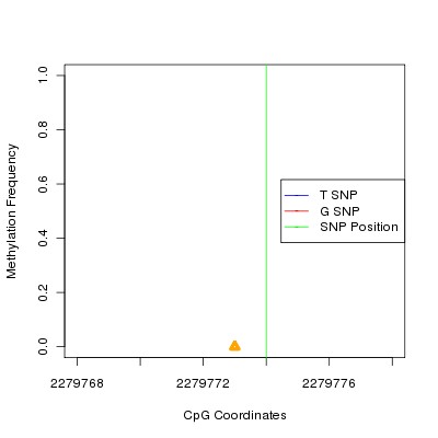 Allele Specific Methylation Frequency Diagram for chr11 2279774 SNP.