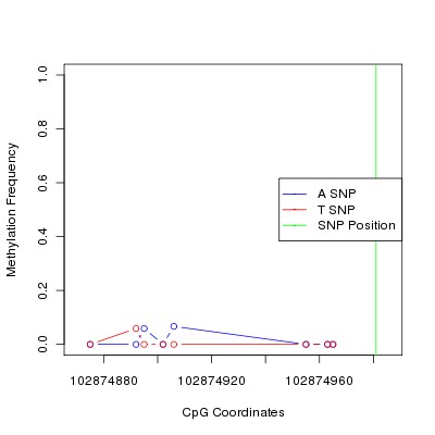 Allele Specific Methylation Frequency Diagram for chr12 102874981 SNP.