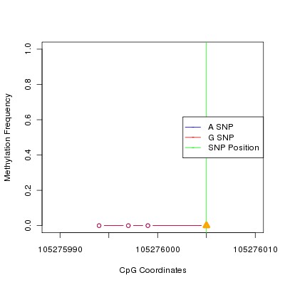 Allele Specific Methylation Frequency Diagram for chr12 105276005 SNP.