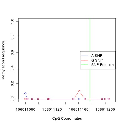 Allele Specific Methylation Frequency Diagram for chr12 106011177 SNP.