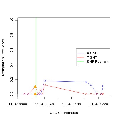 Allele Specific Methylation Frequency Diagram for chr12 115430627 SNP.