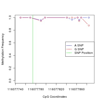 Allele Specific Methylation Frequency Diagram for chr12 116077774 SNP.