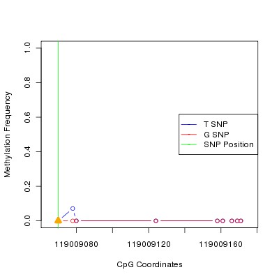 Allele Specific Methylation Frequency Diagram for chr12 119009070 SNP.